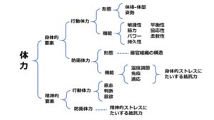 体力とは：健康長寿ネット