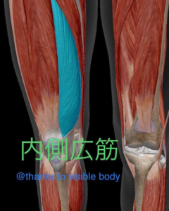 内側広筋を鍛えて膝の安定性を上げるパーソナルトレーニング指導金山ただたん