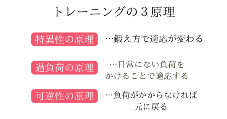 トレーニングの3原理の解説画像。特異性の原則（鍛え方で適応が変わる）、過負荷の原理（日常以上の負荷が必要）、可逆性の原理（やめれば元に戻る）という、筋肉が成長する仕組みの基本3要素を紹介。