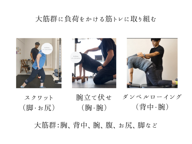 大筋群筋トレ
