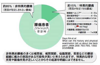 腰痛患者の85%が非特異的腰痛(原因が特定できない)であることを示す円グラフ。残りの15%が椎間板ヘルニア、脊柱管狭窄症などの特異的腰痛。