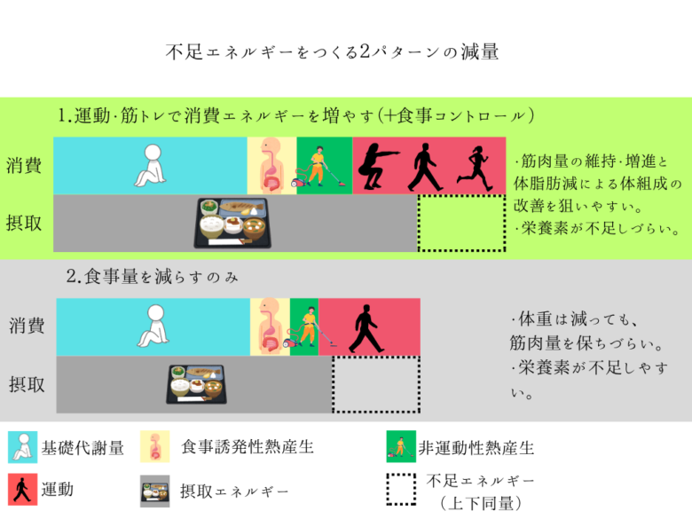 体組成改善を目指すエネルギーバランスと、食事制限のみの場合の比較図。基礎代謝、食事誘発性熱産生、非運動性熱産生(NEAT)、運動の各消費要素と、摂取エネルギーの相関図。運動を取り入れることで筋肉を維持しながら脂肪を減らす仕組みを解説。